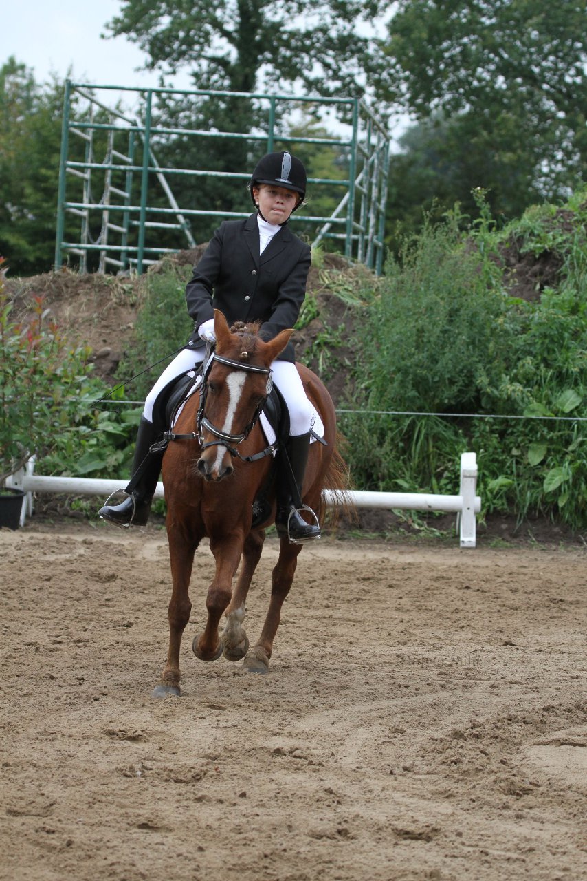 Bild 990 - WBO-Turnier am 18.9.11